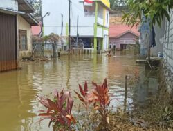 Tunggu Aksi Pengembang