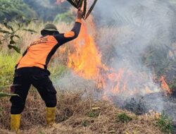 Titik Panas Semakin Berkurang
