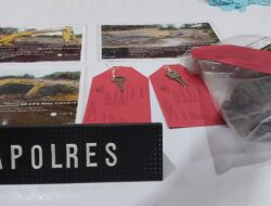 Tambang Ilegal Dianggap Lebih Menjanjikan