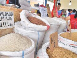 Pantau dan Laporkan!, Kepala Daerah Diminta Turun ke Lapangan