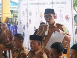 Benih Jagung Sulit Didapat