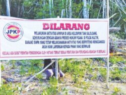 Akhirnya Dilepas, Penahanan Ditangguhkan, 9 Petani yang Diduga Menghalangi Proyek di IKN