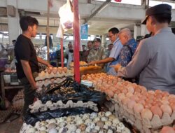 Kebutuhan Telur Meningkat