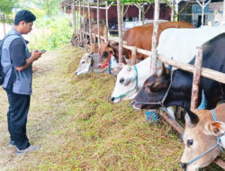 DTPHP Gencar Lakukan Pembinaan