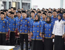 Penerimaan CPNS Resmi Dibuka
