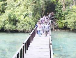 Rencana Pembaruan Isi Ripparda