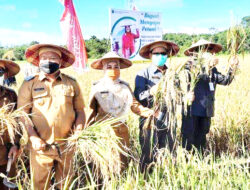 Potensi Besar Pertanian