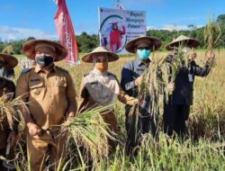 Maksimalkan Potensi Besar Sektor Pertanian