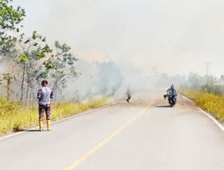 Karhutla Kembali Terjadi