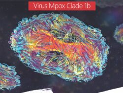 Siaga 1, Sudah di Thailand