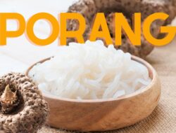 Porang Hidup