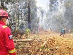 Kolaborasi Pengendalian Karhutla