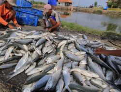 Dorong Pengembangan Hasil Laut