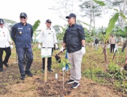 Dorong Transformasi Lahan Eks Tambang