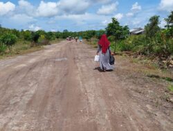 Puluhan Ribu Transmigran Masuk Bulungan