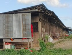 Pemilik Bangunan Ayam Potong Diberi Waktu hingga Januari