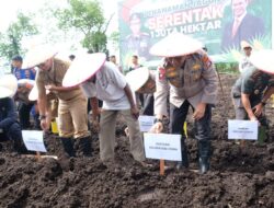Tanam Jagung Serentak, Polda Kaltara Target 9.200 Hektare