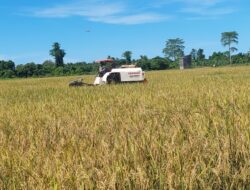 Dukungan Ketahanan Pangan, Pemkab Bulungan Siapkan Lahan Pertanian