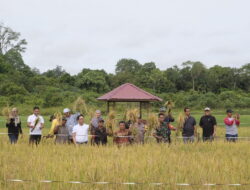 Kembangkan Sektor Pertanian