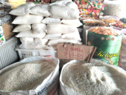 Produksi GKP belum Mencukupi Kebutuhan