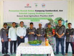 Akselerasi Kualitas Kakao