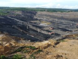 Krisis Hutan di Wilayah Berizin