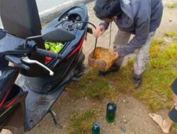 PERTAMAX BIKIN RESAH