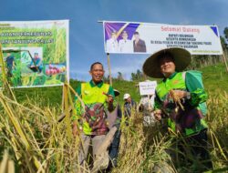 ASN Wajib Konsumsi Beras Lokal