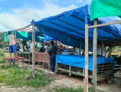 Bangunan Kios Ditertibkan, Pedagang Ayam Minta Tempat Baru