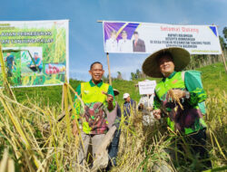Bulog Serap GKP Petani Bulungan