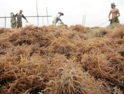 Lirik Pasar Tiongkok dan Filipina