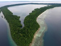 Untung atau Rugi bagi Berau?