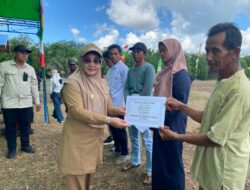 Optimalisasi Potensi Lokal