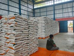 Stok Beras Aman Hingga Akhir Tahun