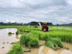 Lepas Ketergantungan Terhadap Tambang