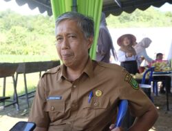 Kembangkan Potensi Ekonomi Kakao dan Kelapa