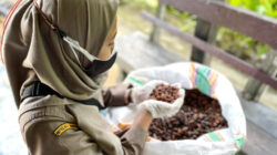 Kembangkan Kakao Dan Kelapa Dalam