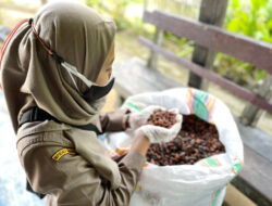 Kembangkan Kakao Dan Kelapa Dalam