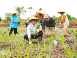 Perkuat Ketahanan Pangan