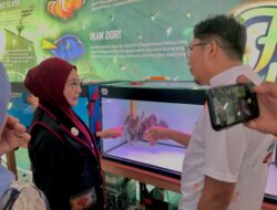 Dari Festival Ikan Hias hingga Bazar UMKM
