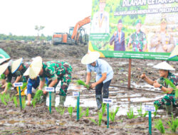 Target Cetak Sawah Berkurang