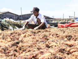 UMKM Butuh Pendampingan