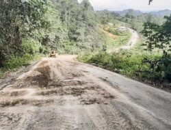 Jalur Berau – Kutim yang Rawan Rusak dan Berlubang kini Mulai di Perbaiki