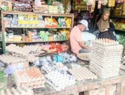 Produksi Telur di Kaltara Belum Penuhi Kebutuhan konsumsi masyarakat