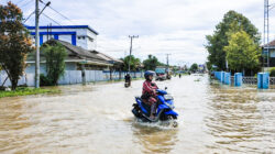 Selama Februari 2026, Potensi Banjir di Sejumlah Wilayah Kalimantan Utara (Kaltara) Diperkirakan Meningkat