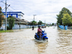 Selama Februari 2026, Potensi Banjir di Sejumlah Wilayah Kalimantan Utara (Kaltara) Diperkirakan Meningkat