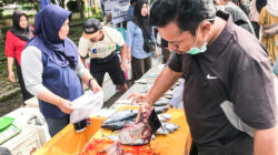 TPI Sambaliung Perluas Akses Masyarakat Dapatkan Ikan Segar Murah, Penjualan Tembus 5 Ton