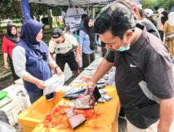 TPI Sambaliung Perluas Akses Masyarakat Dapatkan Ikan Segar Murah, Penjualan Tembus 5 Ton
