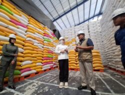 Anggota DPR RI, Rahmawati memastikan Stok Beras Cukup hingga 5 Bulan