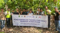 Konservasi di Kebun Cokelat, PT PAMA Site BRCB Latih Petani Kakao Tingkatkan Kualitas Panen